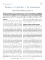 Nociceptors: the sensors of the pain pathway