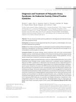 Diagnosis and Treatment of Polycystic Ovary Syndrome: An Endocrine Society Clinical Practice Guideline