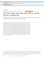 One-Year stable perovskite solar cells by 2D/3D interface engineering