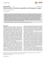 Mitochondria as secretory organelles and therapeutic cargos