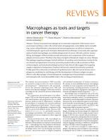 Macrophages as tools and targets in cancer therapy