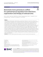 Biomimetic bone-periosteum scaffold for spatiotemporal regulated innervated bone regeneration and therapy of osteosarcoma