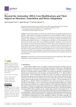 Beyond the Anticodon: tRNA Core Modifications and Their Impact on Structure, Translation and Stress Adaptation