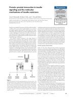 Protein–protein interaction in insulin signaling and the molecular mechanisms of insulin resistance