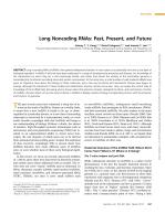 Long Noncoding RNAs: Past, Present, and Future