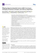 Targeting Hypoxia-Inducible Factor-1 (HIF-1) in Cancer: Emerging Therapeutic Strategies and Pathway Regulation