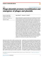 Phage-plasmids promote recombination and emergence of phages and plasmids