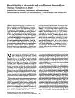 Flexural Rigidity of Microtubules and Actin Filaments Measured from Thermal Fluctuations in Shape