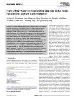 High-Entropy Catalysis Accelerating Stepwise Sulfur Redox Reactions for Lithium–Sulfur Batteries