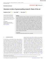 Literature review of greenwashing research: State of the art