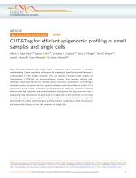 CUT&Tag for efficient epigenomic profiling of small samples and single cells