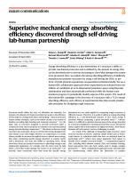 Superlative mechanical energy absorbing efficiency discovered through self-driving lab-human partnership
