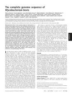 The complete genome sequence of Mycobacterium bovis