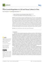 Plant Growth Regulation in Cell and Tissue Culture In Vitro