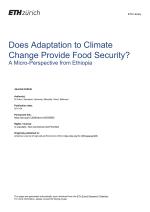 Does Adaptation to Climate Change Provide Food Security? A Micro-Perspective from Ethiopia