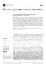 How to Use the Cuprizone Model to Study De- and Remyelination