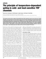 The principle of temperature-dependent gating in cold- and heat-sensitive TRP channels