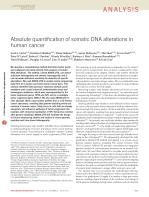 Absolute quantification of somatic DNA alterations in human cancer