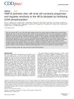 FKBP10 promotes clear cell renal cell carcinoma progression and regulates sensitivity to the HIF2α blockade by facilitating LDHA phosphorylation