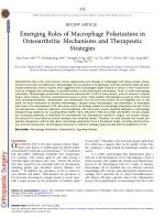 Emerging Roles of Macrophage Polarization in Osteoarthritis: Mechanisms and Therapeutic Strategies