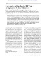 Interrogating a High-Density SNP Map for Signatures of Natural Selection