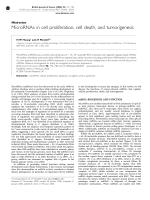 MicroRNAs in cell proliferation, cell death, and tumorigenesis
