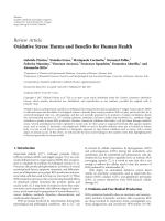 Oxidative Stress: Harms and Benefits for Human Health