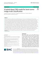 A hybrid deep CNN model for brain tumor image multi-classification