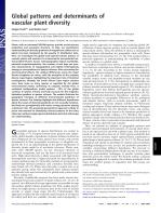 Global patterns and determinants of vascular plant diversity