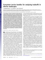 Ecosystem service bundles for analyzing tradeoffs in diverse landscapes