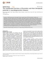 The multifaceted functions of β-arrestins and their therapeutic potential in neurodegenerative diseases