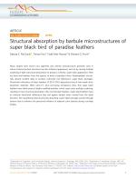 Structural absorption by barbule microstructures of super black bird of paradise feathers