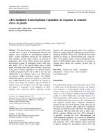 ABA-mediated transcriptional regulation in response to osmotic stress in plants