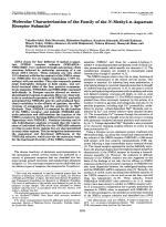 Molecular Characterization of the Family of the N-Methyl-D-Aspartate Receptor Subunits