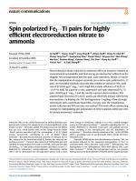 Spin polarized Fe1−Ti pairs for highly efficient electroreduction nitrate to ammonia