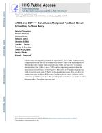 APC/C and SCFcyclin F Constitute a Reciprocal Feedback Circuit Controlling S-Phase Entry