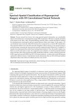 Spectral-Spatial Classification of Hyperspectral Imagery with 3D Convolutional Neural Network