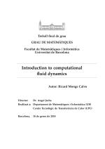 Introduction to computational fluid dynamics