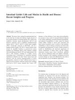 Intestinal Goblet Cells and Mucins in Health and Disease: Recent Insights and Progress