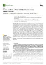 The RAGE Axis: A Relevant Inflammatory Hub in Human Diseases