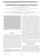 Candida albicans pathogenicity mechanisms