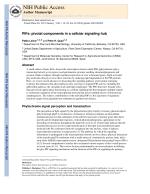 PIFs: pivotal components in a cellular signaling hub