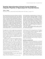 Dendritic Hyperpolarization-Activated Currents Modify the Integrative Properties of Hippocampal CA1 Pyramidal Neurons
