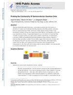 Probing the Cytotoxicity Of Semiconductor Quantum Dots