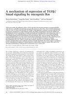 A mechanism of repression of TGFβ/Smad signaling by oncogenic Ras