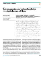 Extensive protein pyrophosphorylation revealed in human cell lines