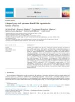 S-shaped grey wolf optimizer-based FOX algorithm for feature selection