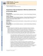 Suppression of ICE and Apoptosis in Mammary Epithelial Cells by Extracellular Matrix