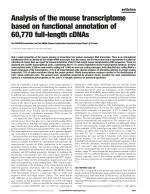 Analysis of the mouse transcriptome based on functional annotation of 60,770 full-length cDNAs