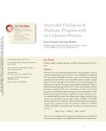 Anaerobic Oxidation of Methane: Progress with an Unknown Process